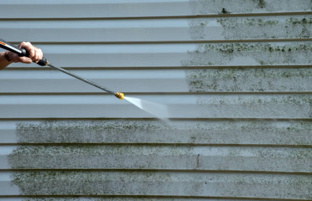 Best Local Mold Removal Service  in Blue Ridge, GA