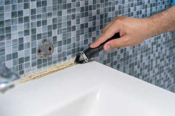 Best Mold Removal Near Me  in Blue Ridge, GA