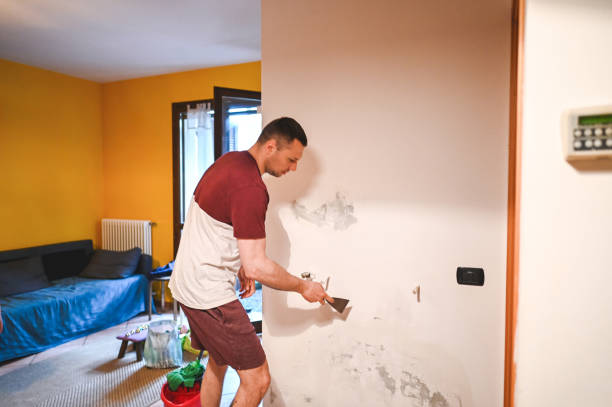 Best Mold Remediation  in Blue Ridge, GA